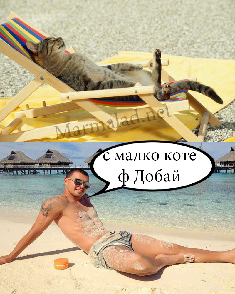 Божинов - с малко коте в Дубай