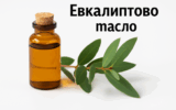 , евкалиптовото масло