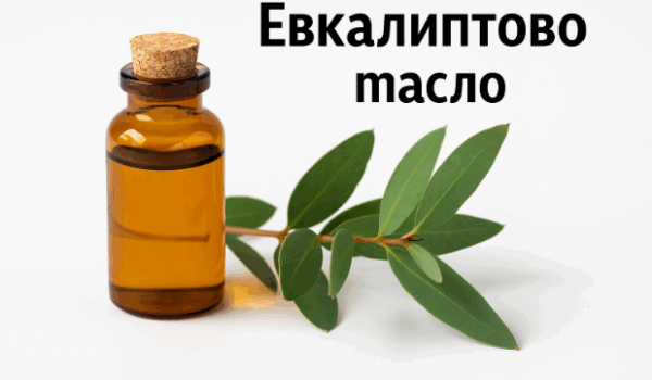 , евкалиптовото масло