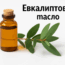 , евкалиптовото масло